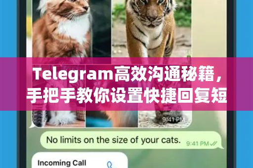 Telegram高效沟通秘籍,手把手教你设置快捷回复短语-第1张图片-纸飞机即时通讯-纸飞机官网下载 Telegram高效沟通秘籍,手把手教你设置快捷回复短语-第1张图片-纸飞机即时通讯-纸飞机官网下载