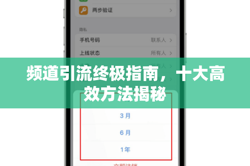 频道引流终极指南，十大高效方法揭秘-第1张图片-纸飞机即时通讯-纸飞机官网下载