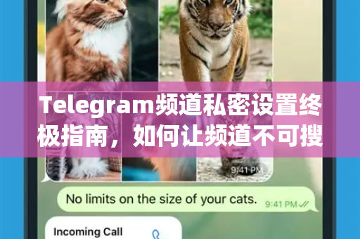 Telegram频道私密设置终极指南，如何让频道不可搜索并彻底隐身-第1张图片-纸飞机即时通讯-纸飞机官网下载