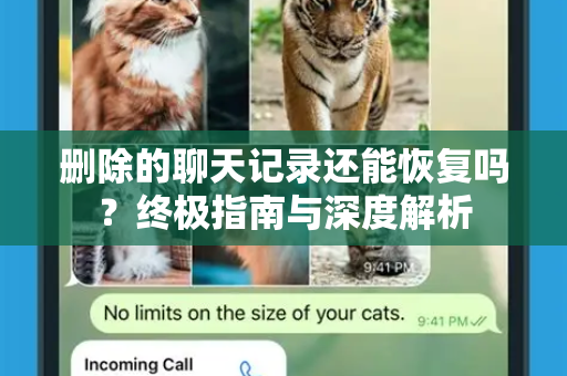 删除的聊天记录还能恢复吗？终极指南与深度解析-第1张图片-纸飞机即时通讯-纸飞机官网下载