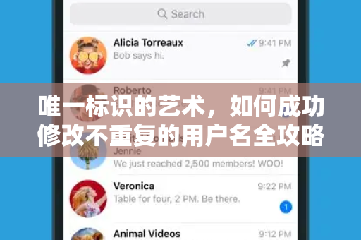 唯一标识的艺术，如何成功修改不重复的用户名全攻略-第1张图片-纸飞机即时通讯-纸飞机官网下载