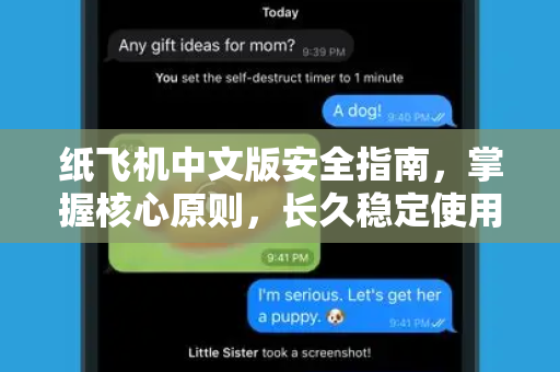 纸飞机中文版安全指南，掌握核心原则，长久稳定使用-第1张图片-纸飞机即时通讯-纸飞机官网下载