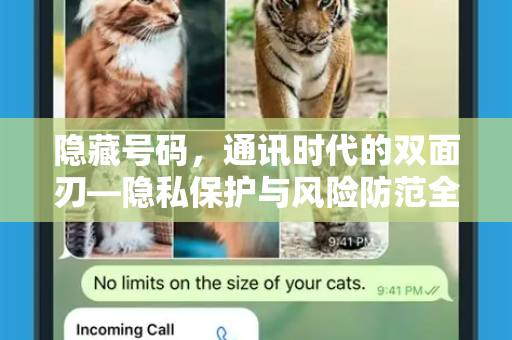 隐藏号码，通讯时代的双面刃—隐私保护与风险防范全解析