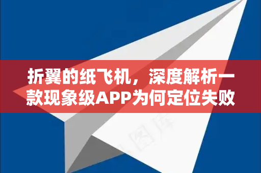 折翼的纸飞机，深度解析一款现象级APP为何定位失败