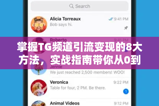 掌握TG频道引流变现的8大方法，实战指南带你从0到1盈利-第1张图片-纸飞机即时通讯-纸飞机官网下载
