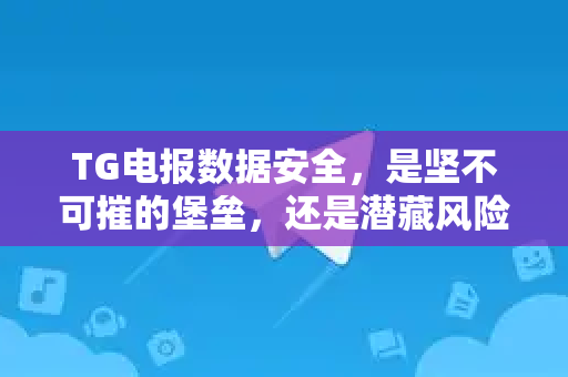 TG电报数据安全，是坚不可摧的堡垒，还是潜藏风险的迷思？