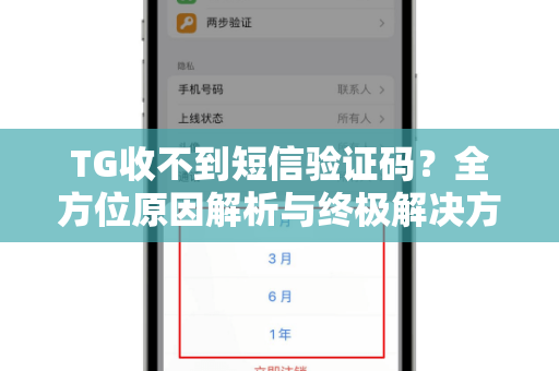 TG收不到短信验证码？全方位原因解析与终极解决方案-第1张图片-纸飞机即时通讯-纸飞机官网下载