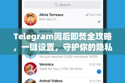 Telegram阅后即焚全攻略,一键设置,守护你的隐私安全-第1张图片-纸飞机即时通讯-纸飞机官网下载 Telegram阅后即焚全攻略,一键设置,守护你的隐私安全-第1张图片-纸飞机即时通讯-纸飞机官网下载